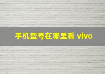 手机型号在哪里看 vivo